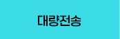 �뷮����